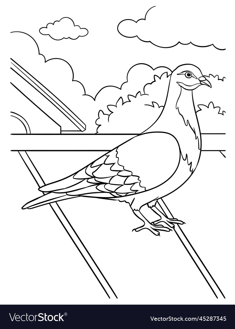 Pigeon coloring page for kids Royalty Free Vector Image