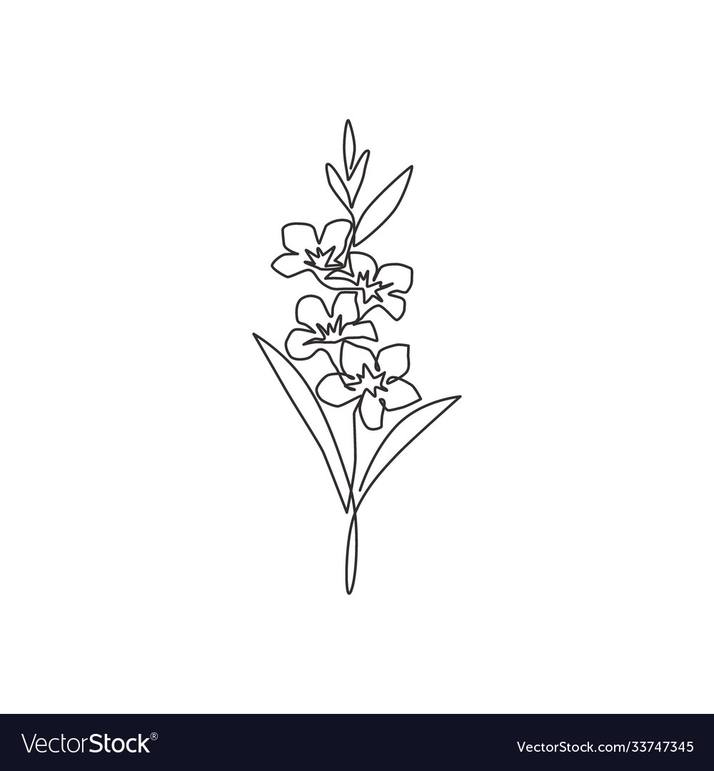 Single Continuous Line Drawing Beauty Fresh Vector Image