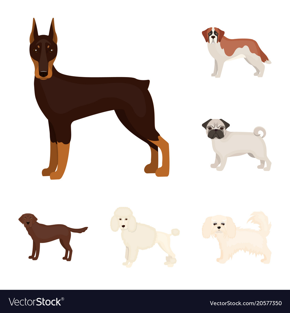 Dog breeds cartoon icons in set collection Vector Image