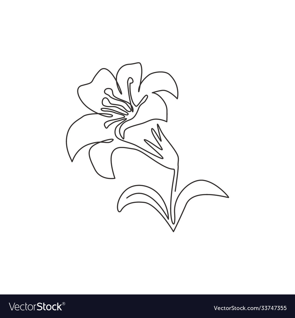 Single Continuous Line Drawing Beauty Fresh Vector Image