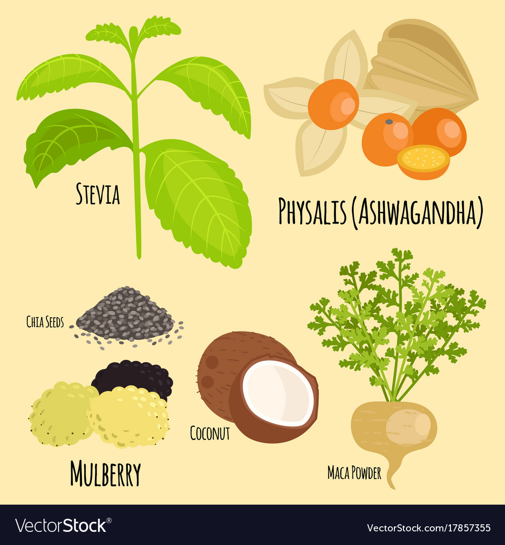 Vegetarian superfood healthy vegetable eco food