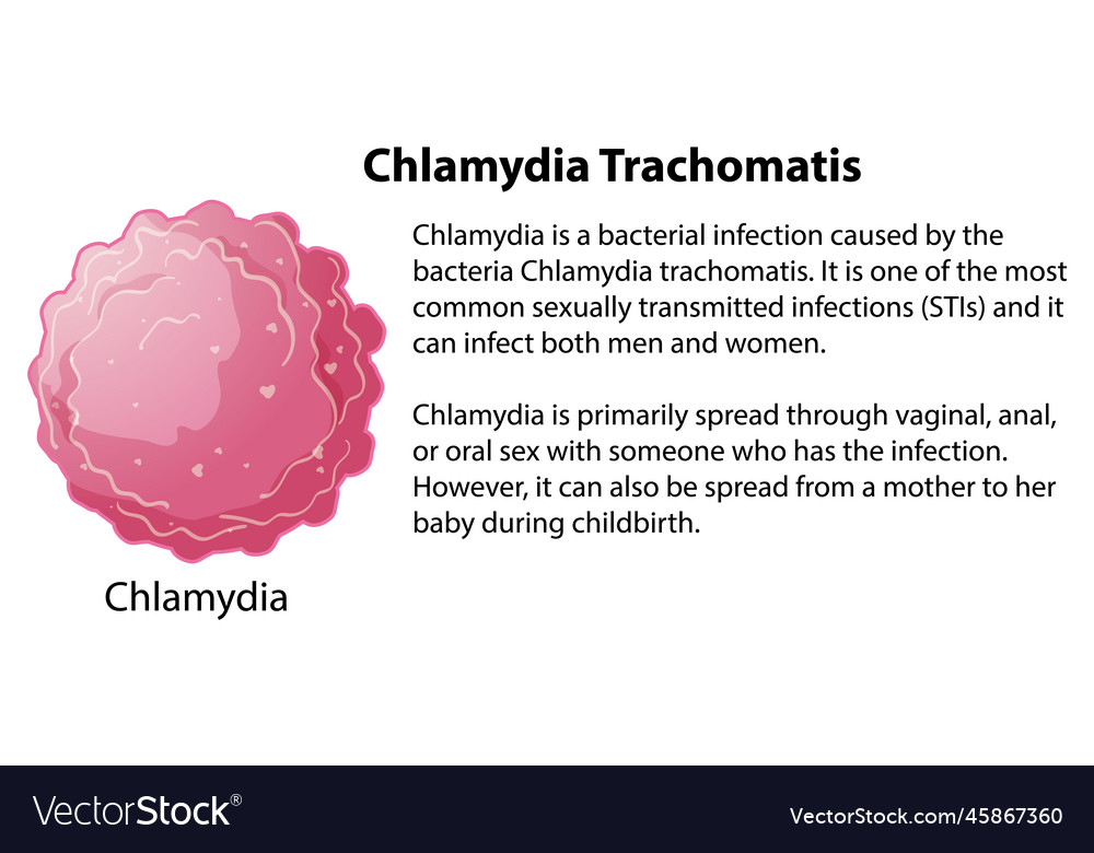 Chlamydia Trachomatis With Explanation Royalty Free Vector
