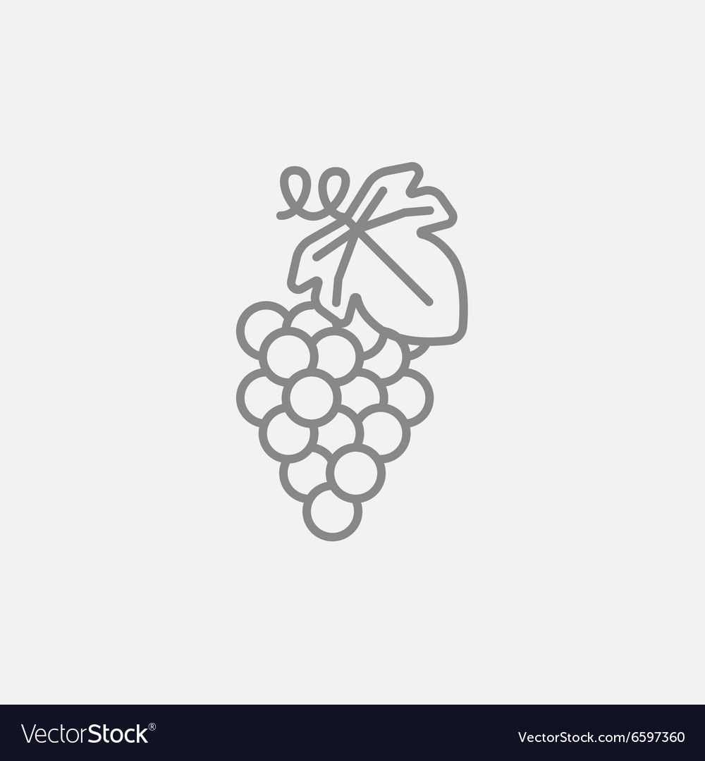 Grape line icon