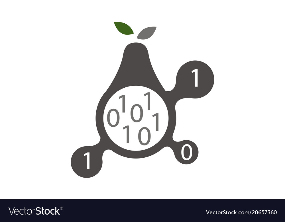Pear program code connection vector image Pear program code connection