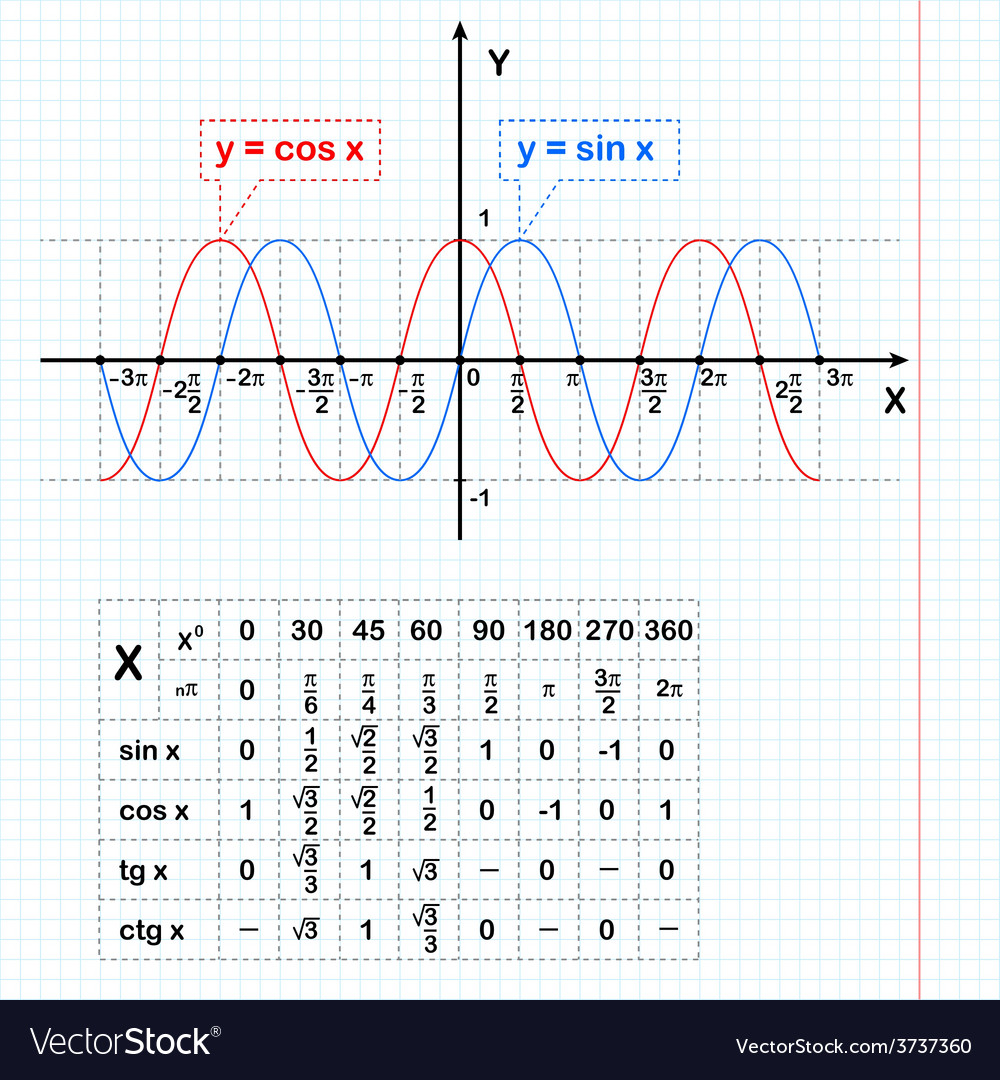 Sine And Cosine Functions On Notebook Sheet Vector Image