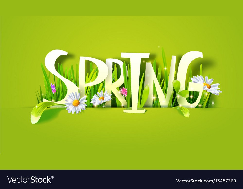 Spring paper lettering with grass Royalty Free Vector Image