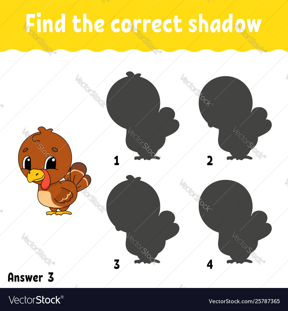 Finden Sie richtige Schatten ziehen Sie eine Linie Bildung vector image Finden Sie richtige Schatten ziehen Sie eine Linie Bildung