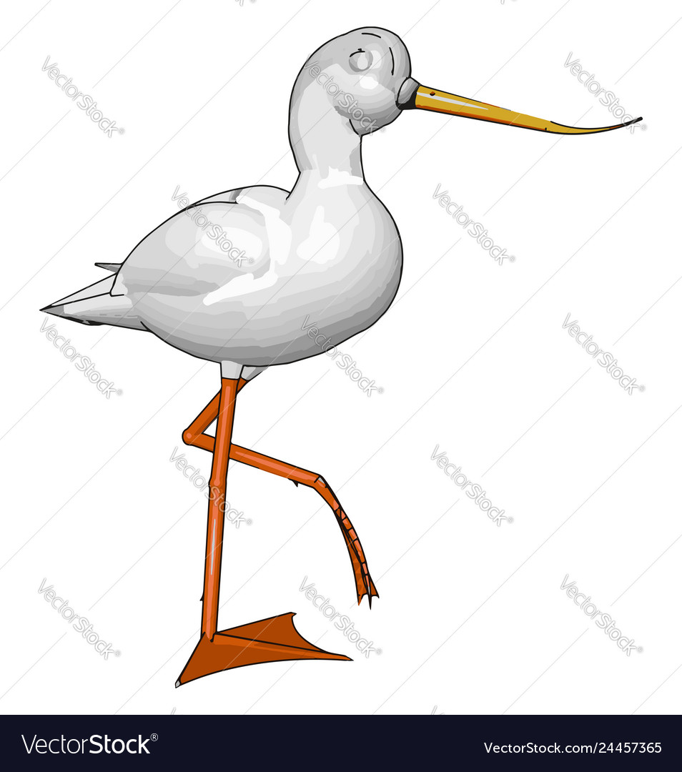 Herons or color Royalty Free Vector Image - VectorStock