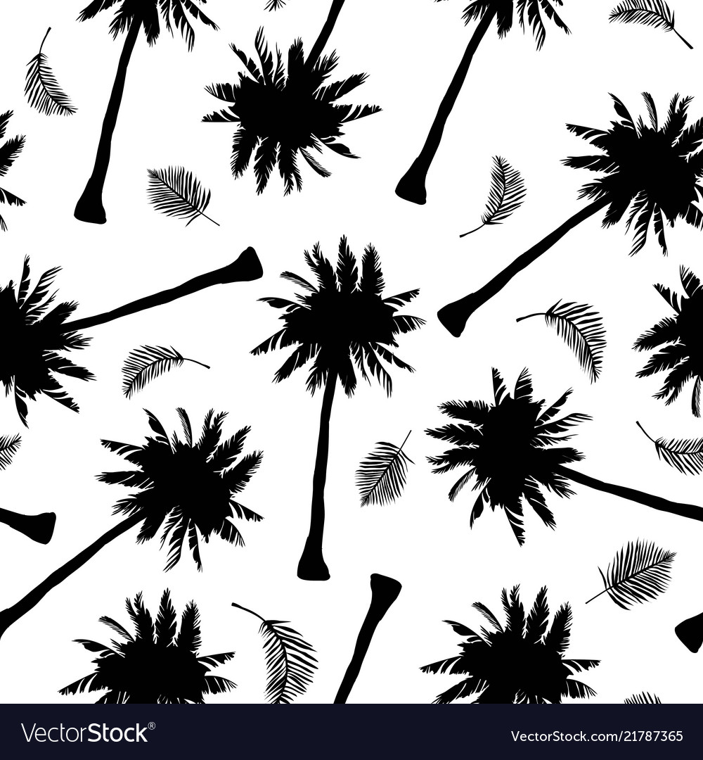 Palm tree pattern seamless hand drawn textures vector image Palm tree pattern seamless hand drawn textures