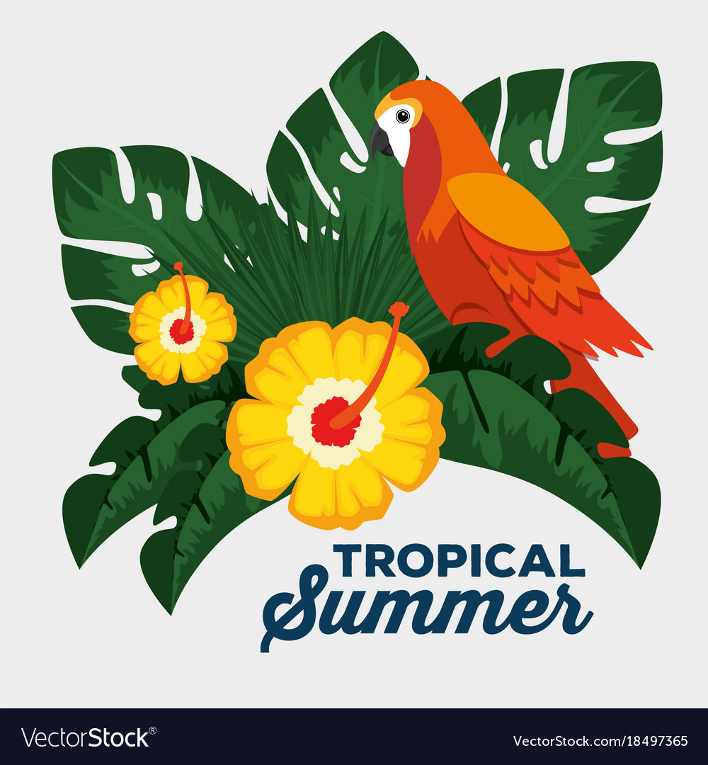 Summer tropical background Royalty Free Vector Image