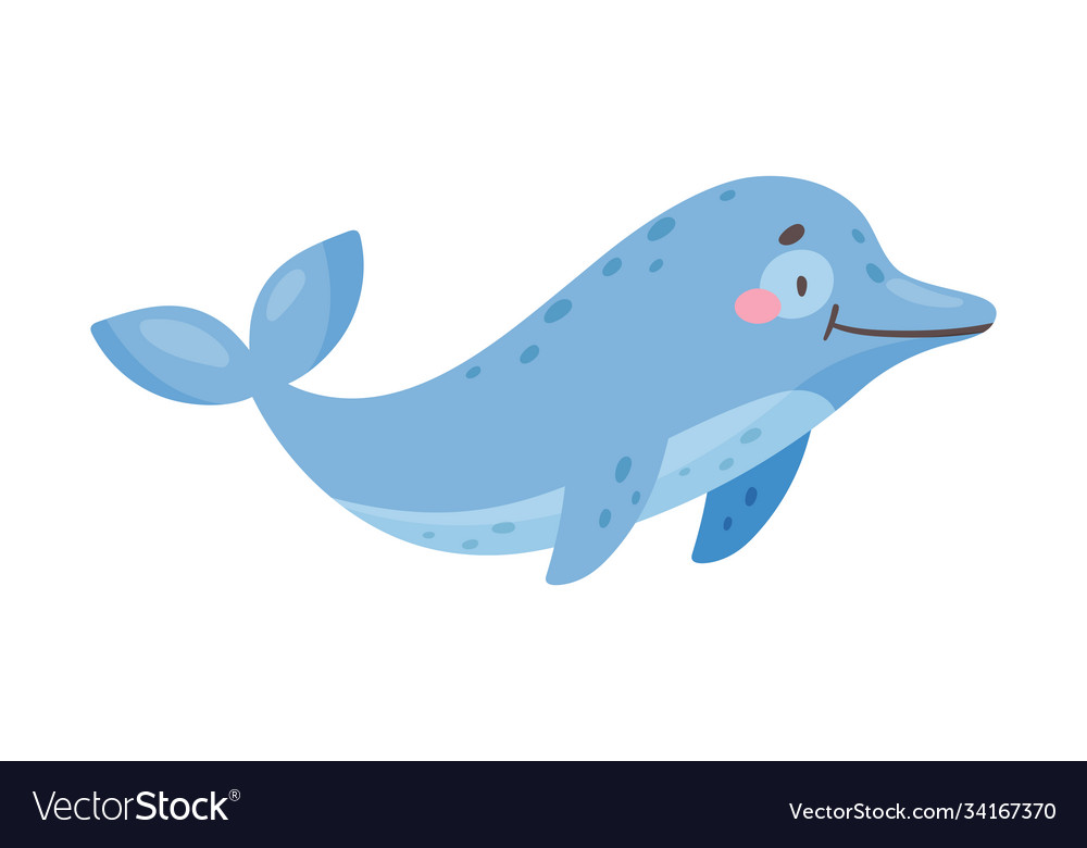 Dolphin as sea animal floating underwater