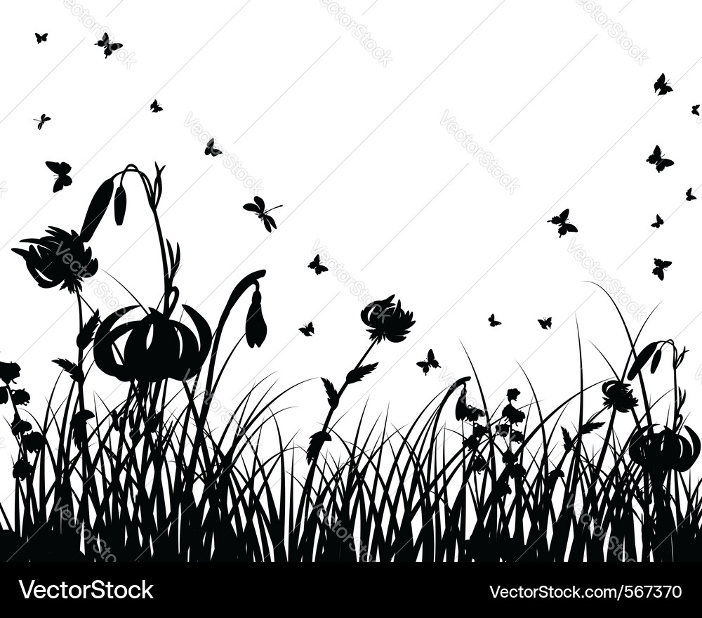 Grass silhouettes Royalty Free Vector Image - VectorStock