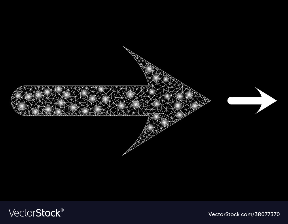 Shiny net forward arrow with glare spots vector image Shiny net forward arrow with glare spots