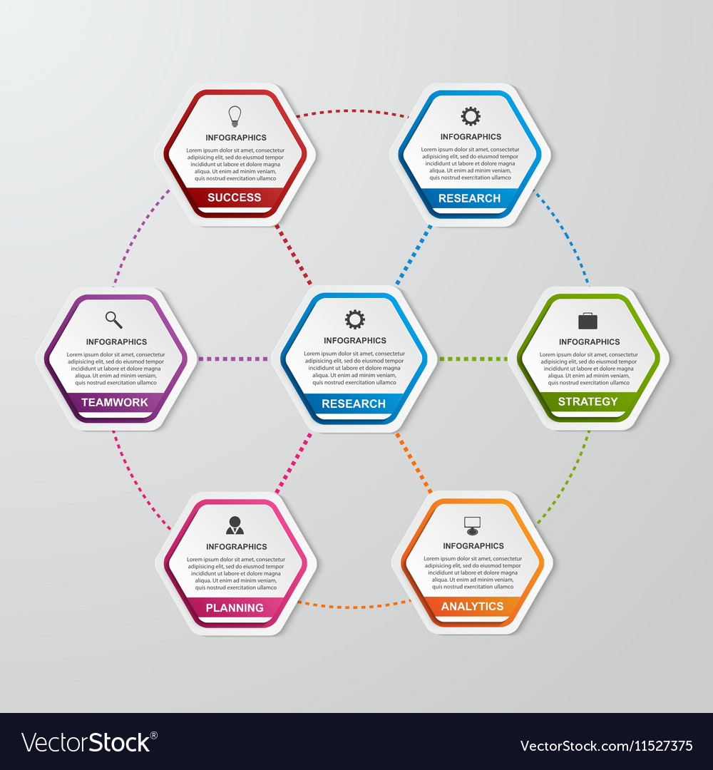 Abstract Hexagon Business Options Infographics Vector Image