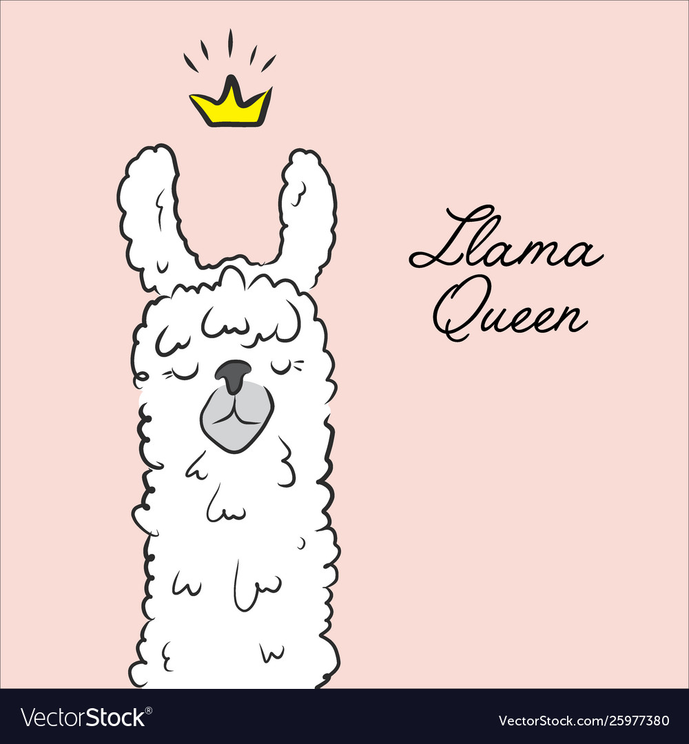 llama drawing