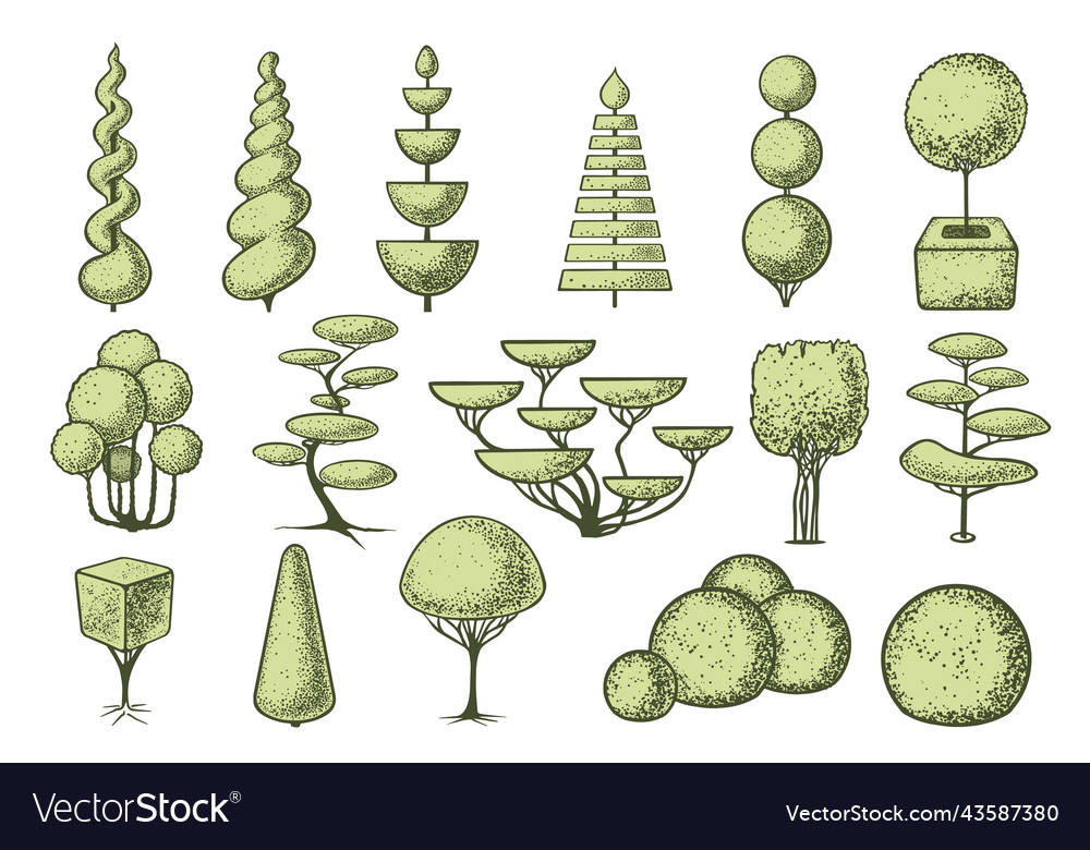 Topiary tree set sketch hand drawn