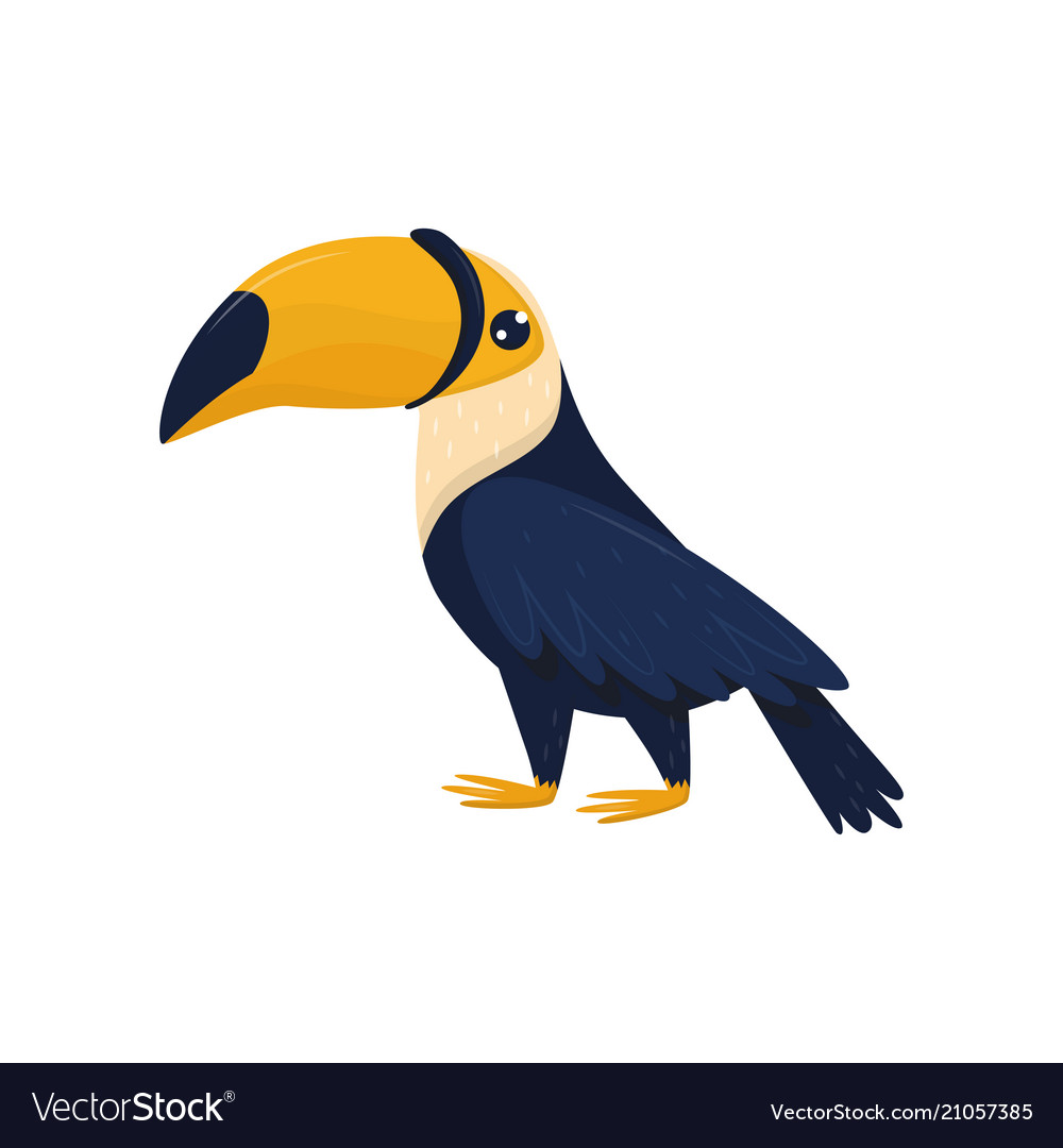 Cartoon character toucan tropical bird