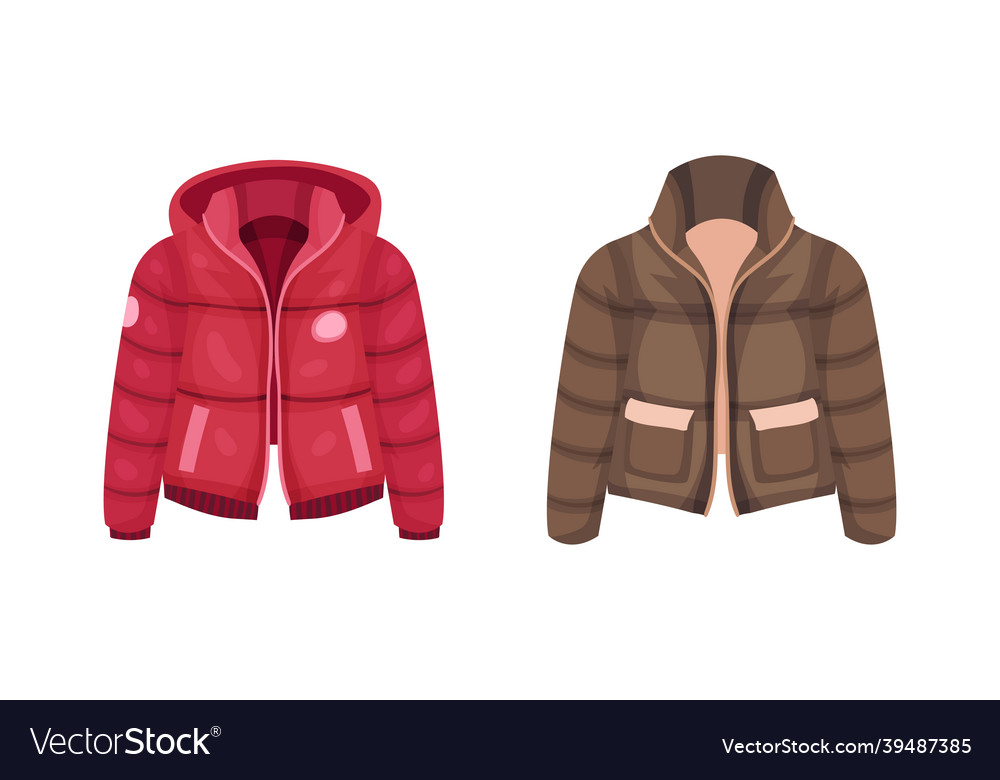 Fashionable Women Outerwear Set Stylish Winter Vector Image