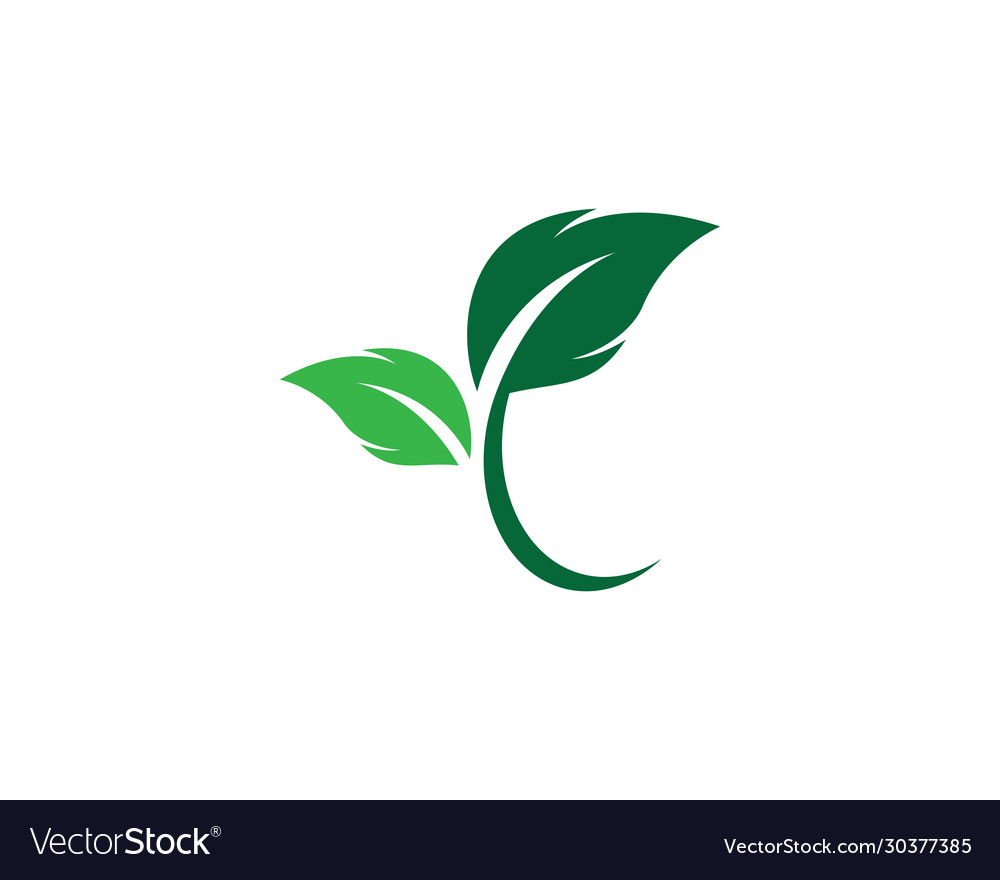 Leaf symbol icon