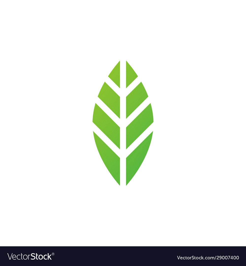 Abstract leaf logo design template linear style Vector Image