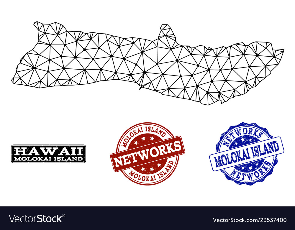 Polygonal wire frame mesh map of molokai