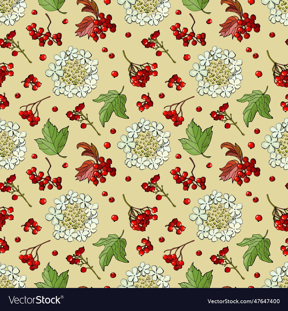 Seamless pattern with viburnum berries