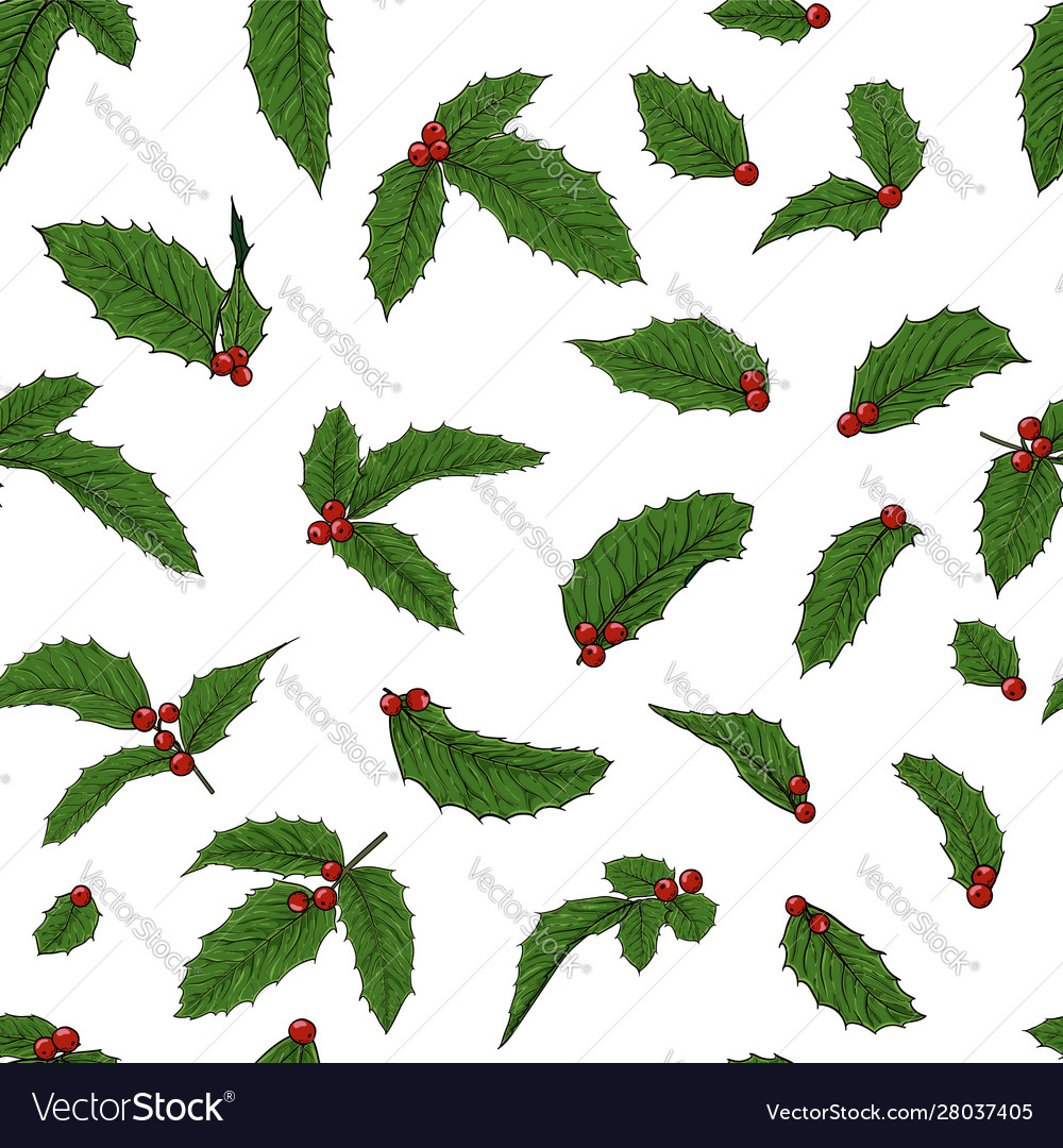 Seamless pattern holly ilex branch with berry