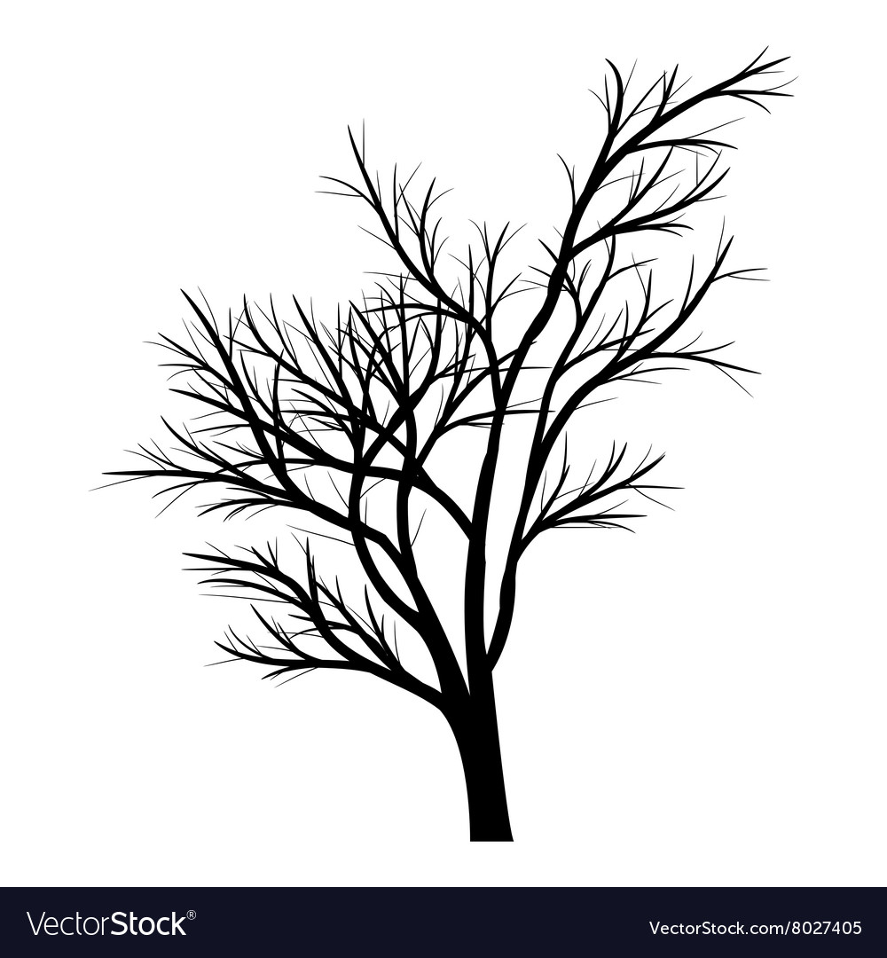 Trees with dead branches