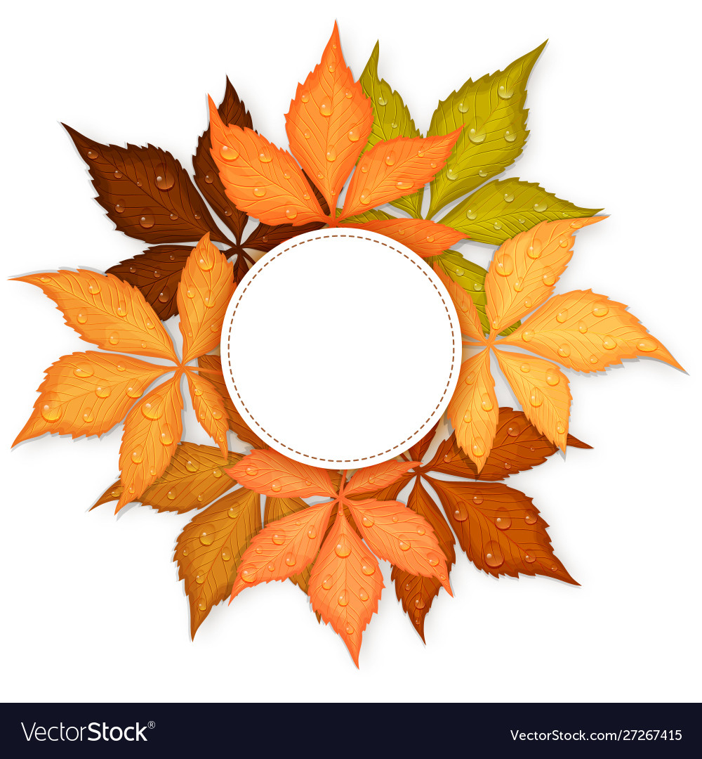 Banner Herbstblätter