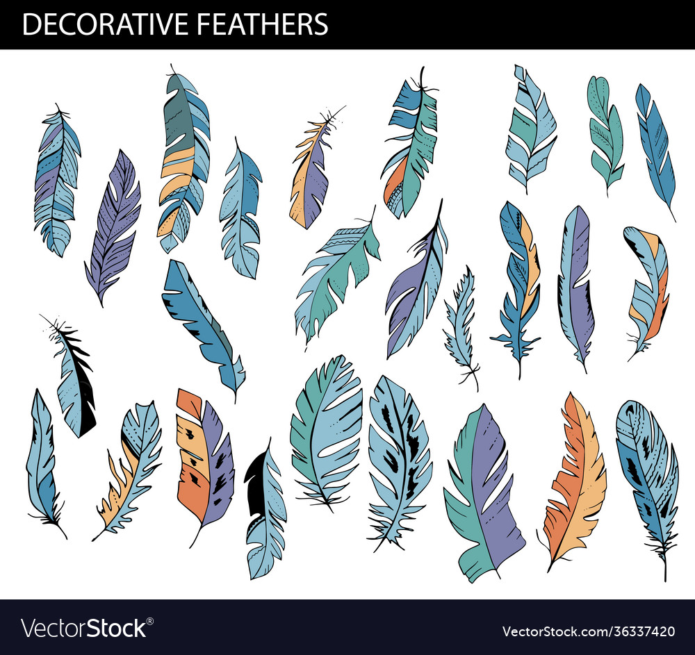 Big set with different colorful stylized feathers