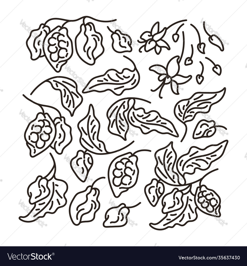 Cocoa abstract set art line sign