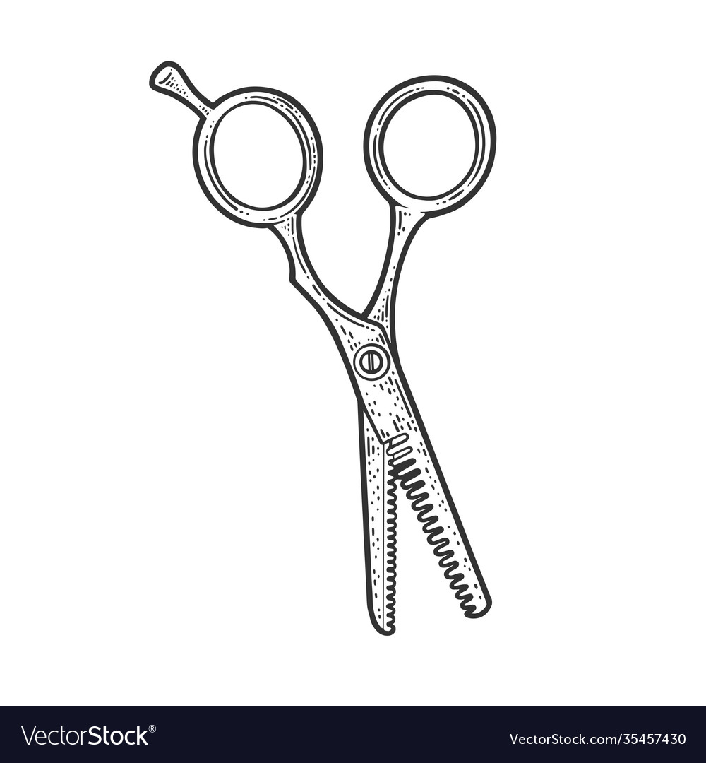 Scissors illustration, drawing, engraving, ink, line art, vector