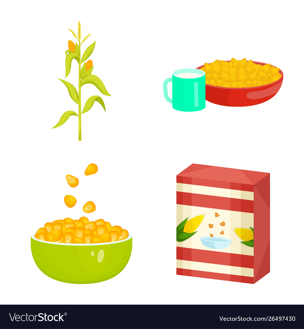 Isolated object maize and food logo collection