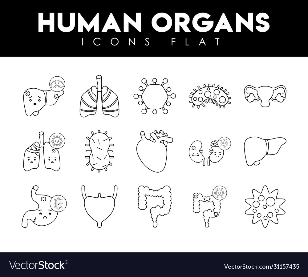 Menschliche Organe und Virus Linie Stil Icon Set