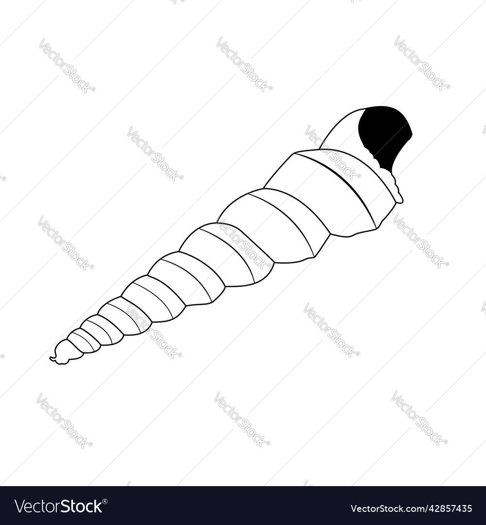 Image of a shell in doodle style isolated