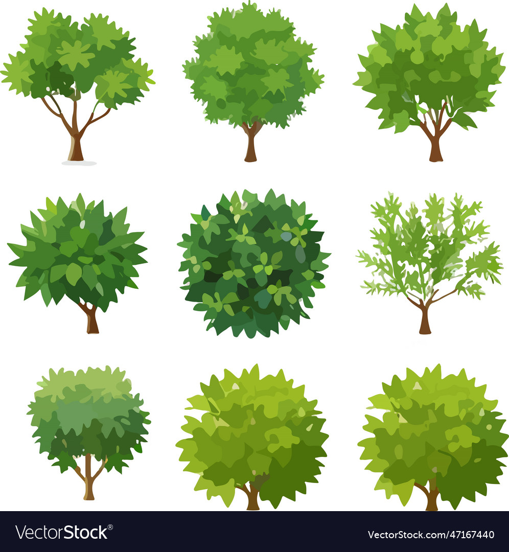 Fantastic forest trees bushes plants art Vector Image