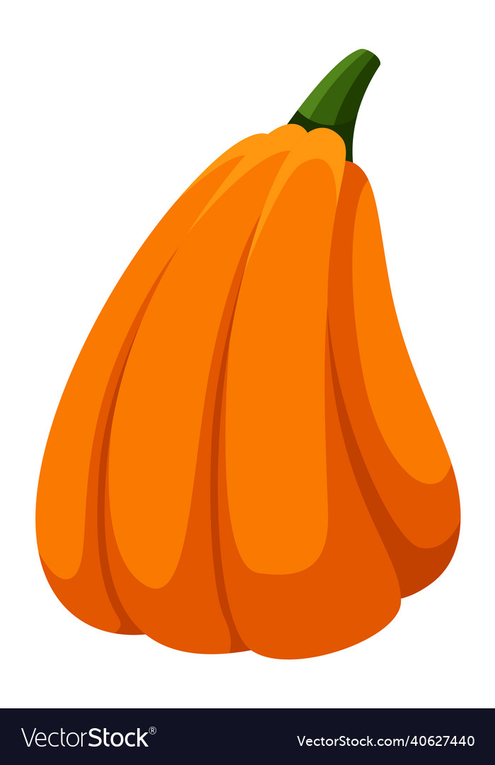 Gourd graphic isolated pumpkine food crop image Vector Image