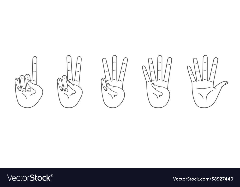 Palms count from one to five counting hands hand vector image Palms count from one to five counting hands hand