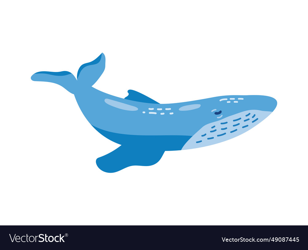 Humpback sealife blue design Royalty Free Vector Image