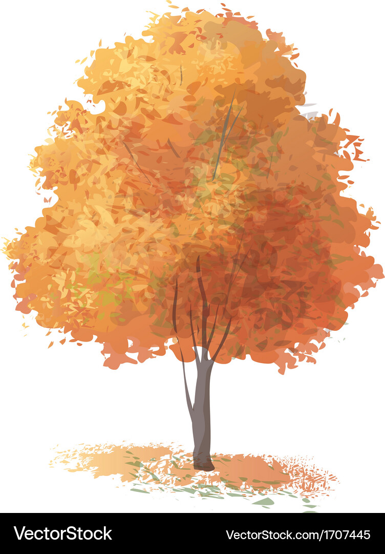 Tree Royalty Free Vector Image - VectorStock