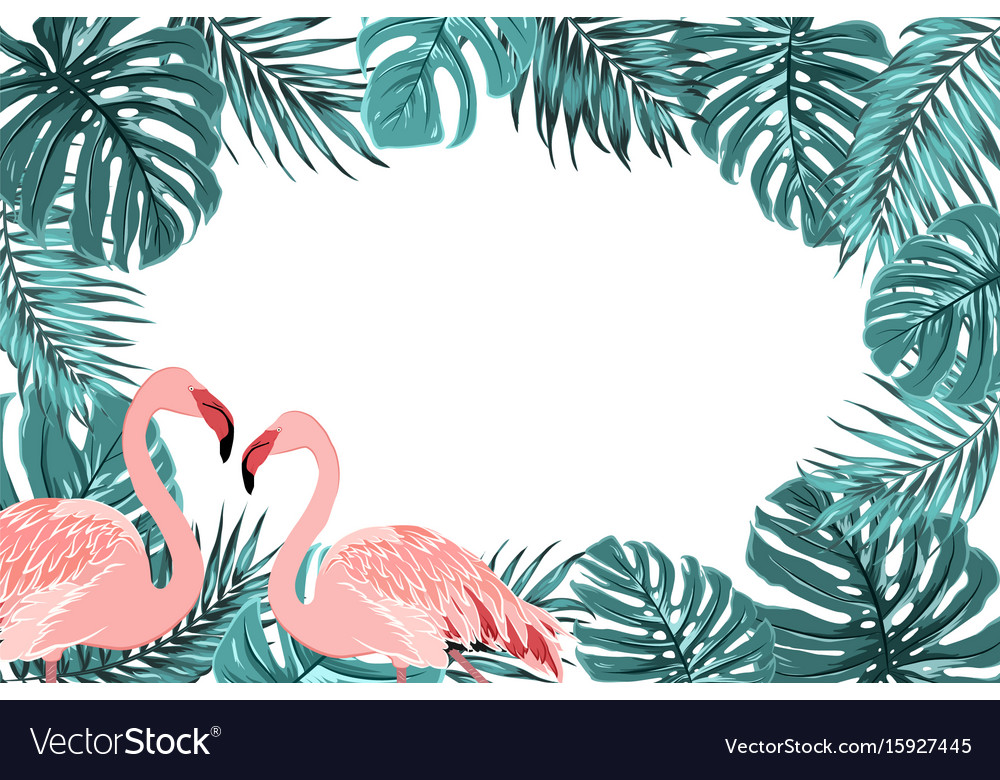 Tropical border frame turquoise leaves flamingo Vector Image