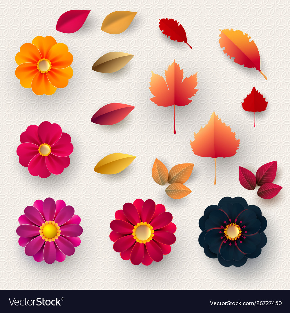 Colorful Paper Flowers & Autumn Leaves