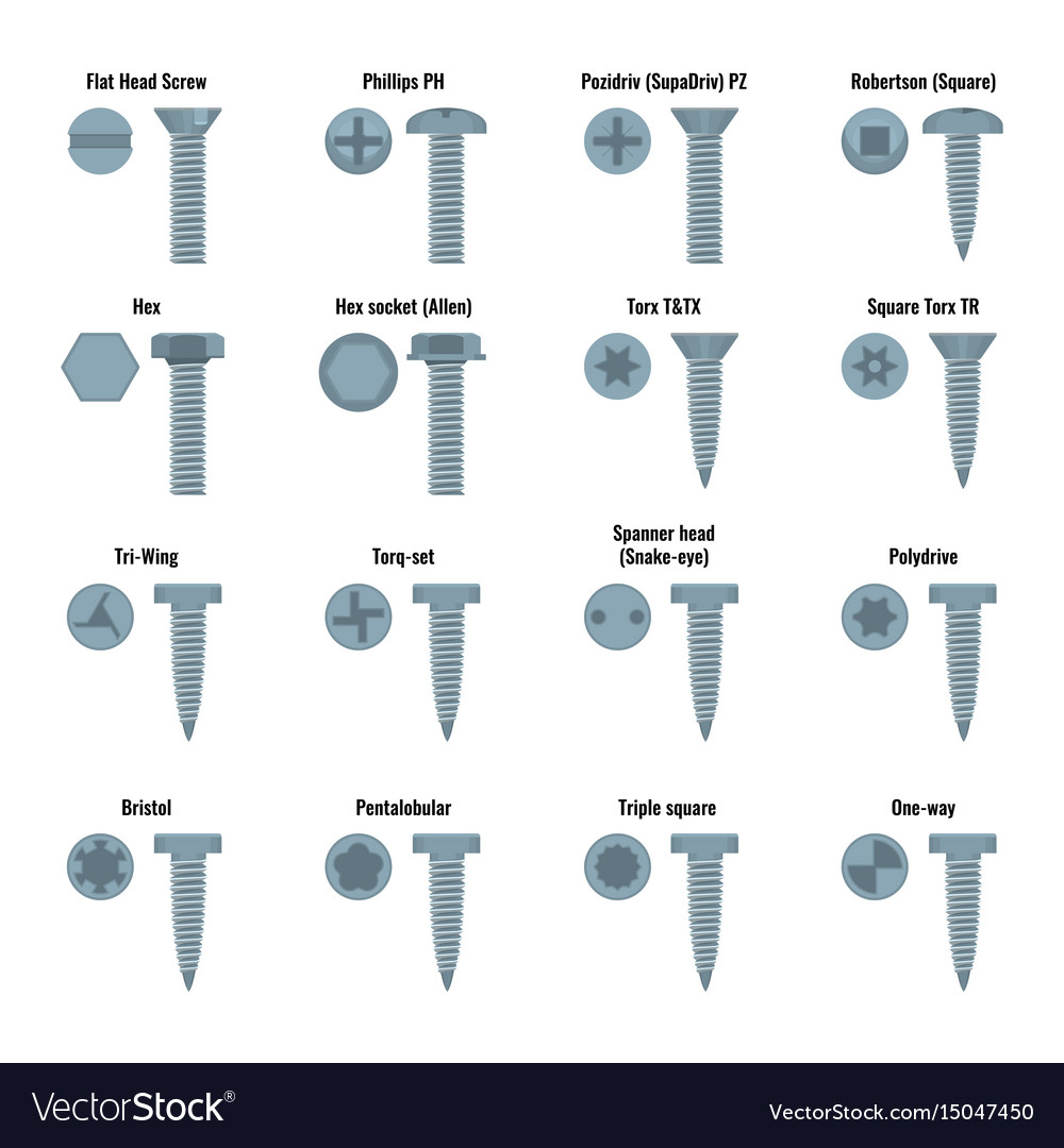 Types Of Screw Heads Chart