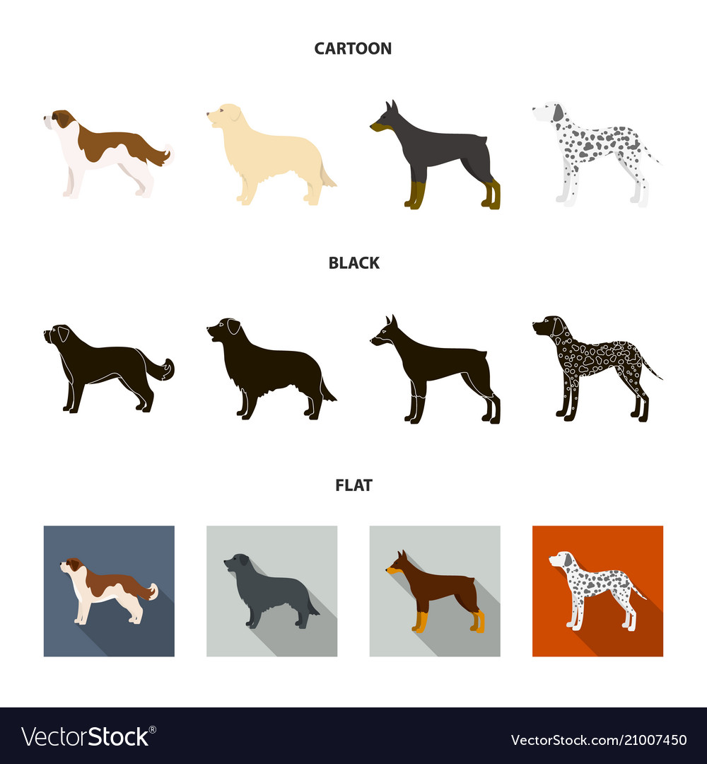 St Bernard Retrieverdoberman Labrador Dog Vector Image