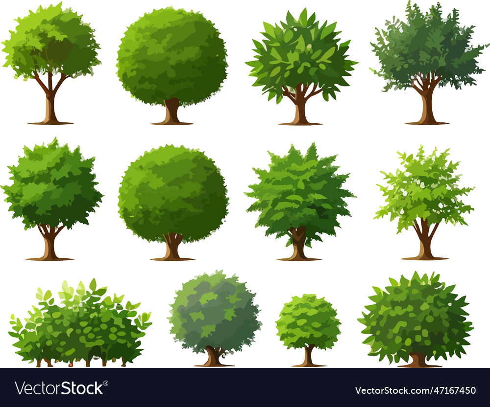 Super forest trees bushes plants art Royalty Free Vector