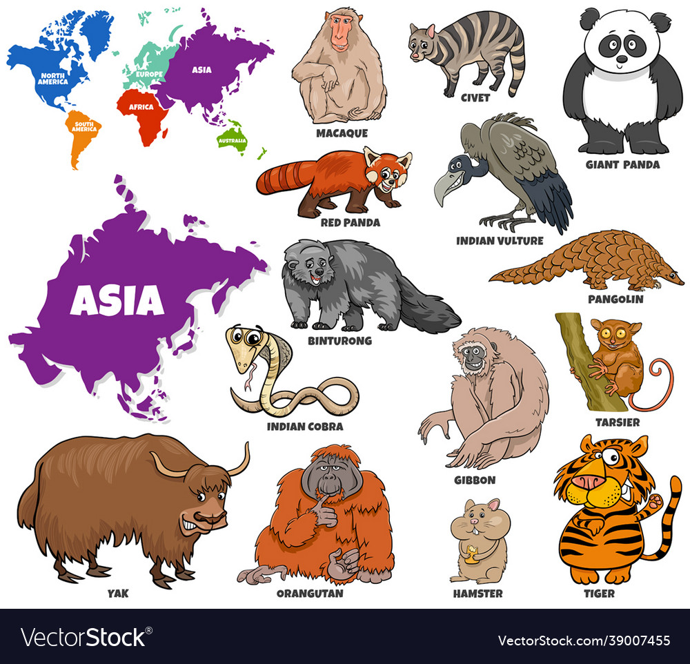 Educational cartoon asian animals set Royalty Free Vector