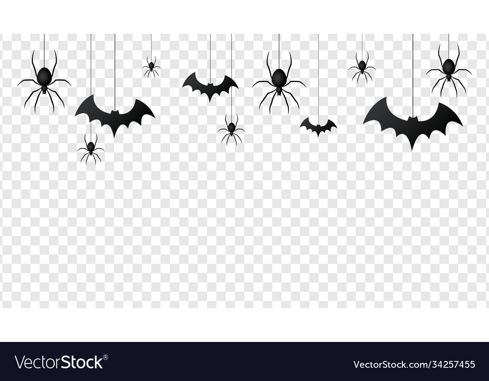Isolated pattern with hanging spiders vector image Isolated pattern with hanging spiders