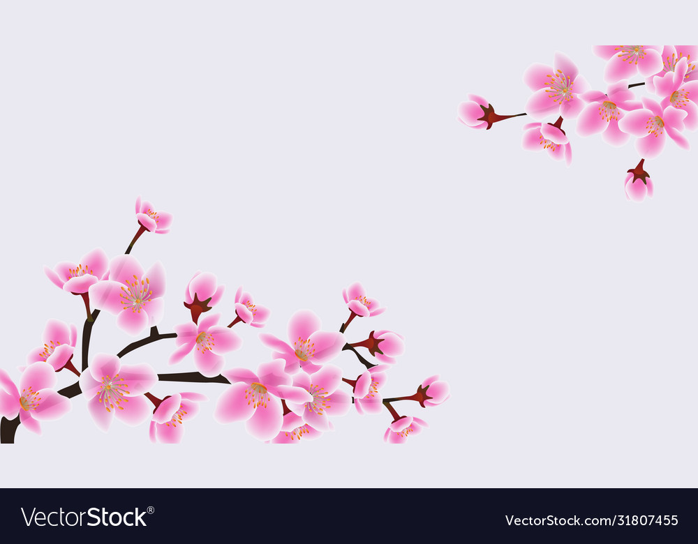 Sakura Blossom Banner - Pink Floral Template