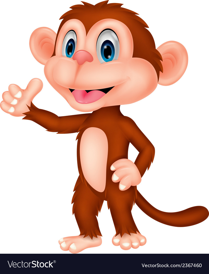 Cute monkey cartoon with thumb up