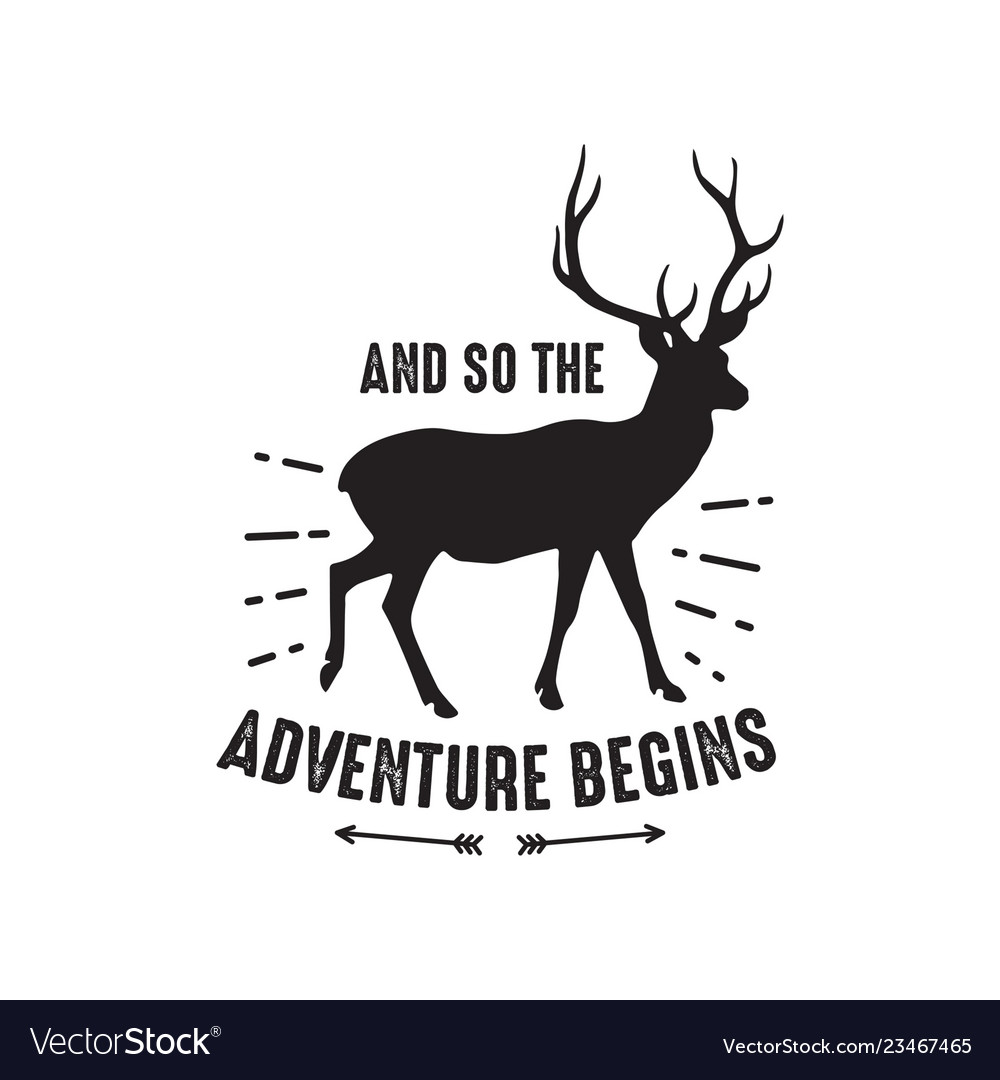 Adventure Quote And Saying Good For Print Vector Image